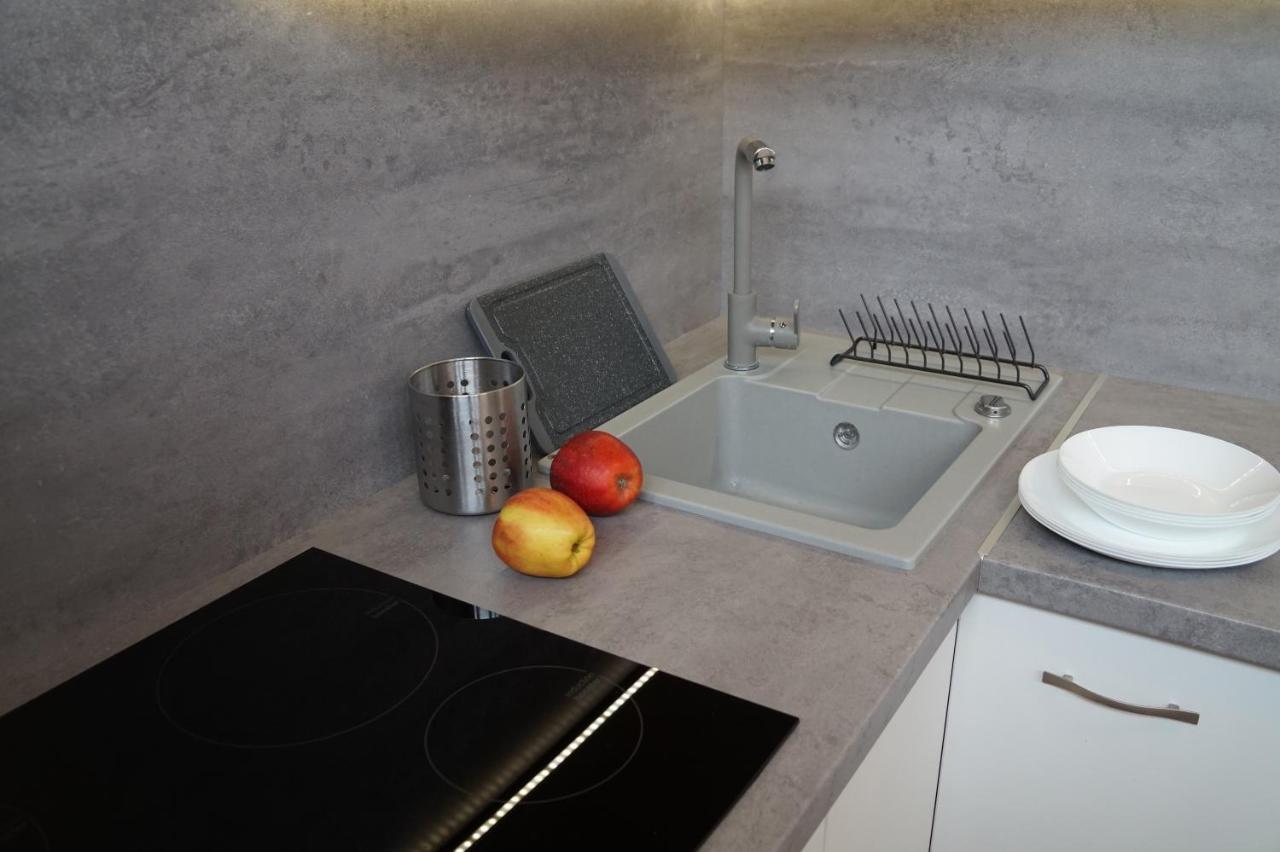 Apartament Gliwice Centrum Dunikowskiego Z Garazem Dış mekan fotoğraf